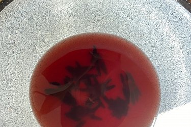 Obrázek č.40